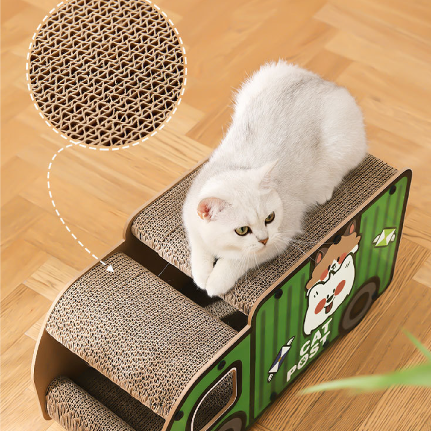 Cat Truck/Bus