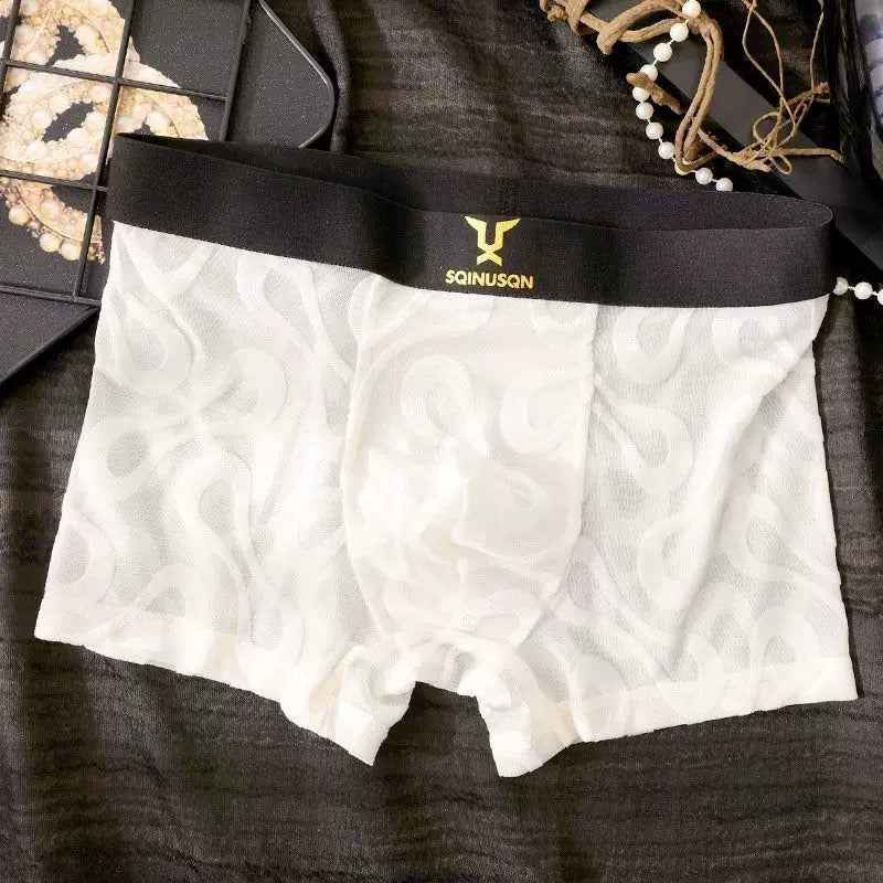 Sexy Breathable Mesh Boxer Shorts