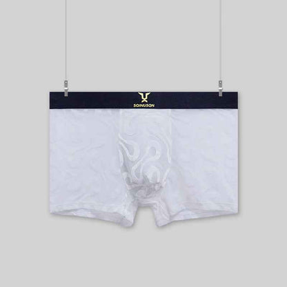 Sexy Breathable Mesh Boxer Shorts