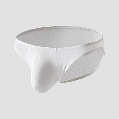 Men's Low-Rise Plaid Ice Silk Briefs — product view